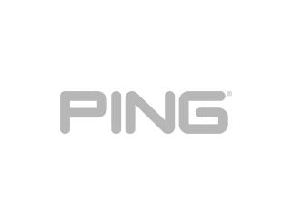 ping logo